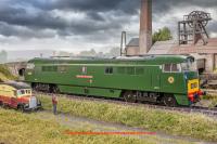 5293 Heljan Class 52 Diesel - D1038 Western Sovereign - BR Green - small yellow ends